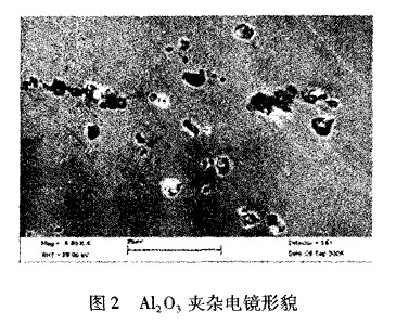 纯铁圆钢夹杂电镜形貌图